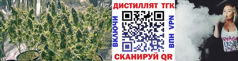 Купить закладки  Семикаракорск  ТГК гашишное масло 